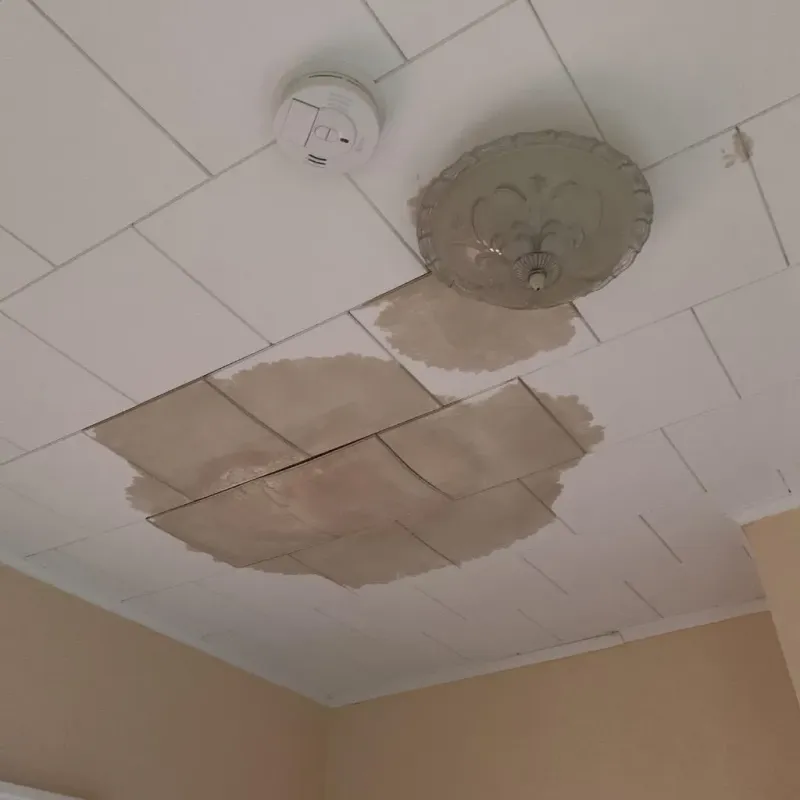 Ceiling Water Damage Repair in Nisswa, MN