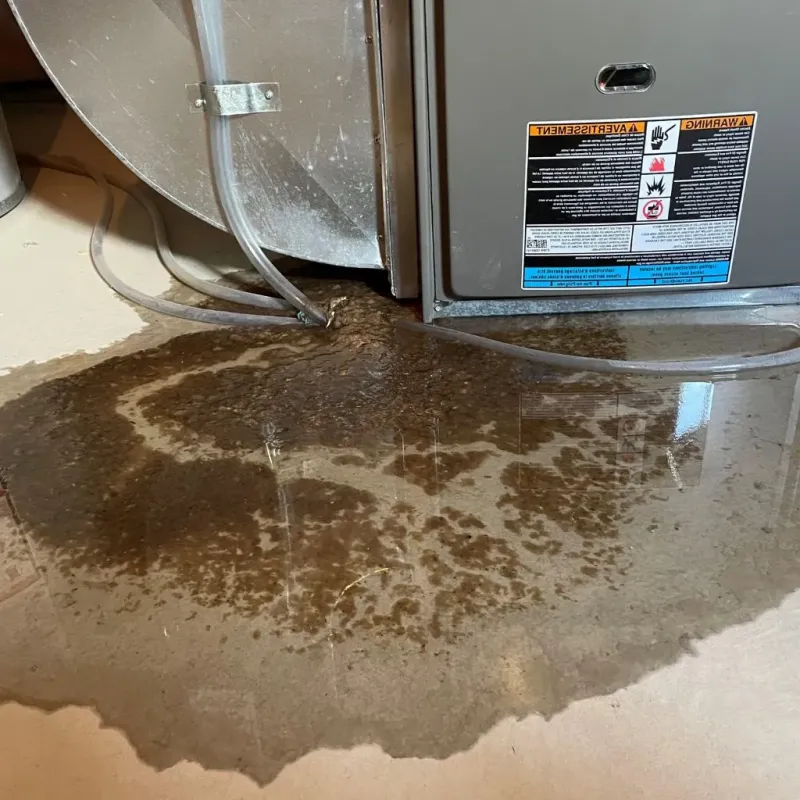 Pipe Burst and Leak Restoration in Nisswa, MN